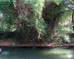 According to the legend, the river Hanumannathi on whose bank the temple is situated was the place where Hanuman stopped and rested on his way to Lank
